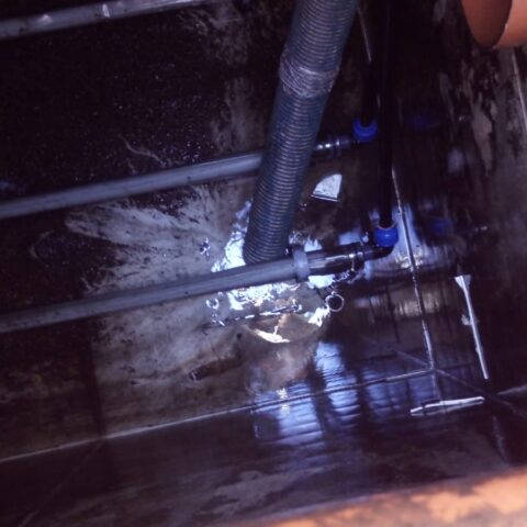 IMG-20210130-WA0047