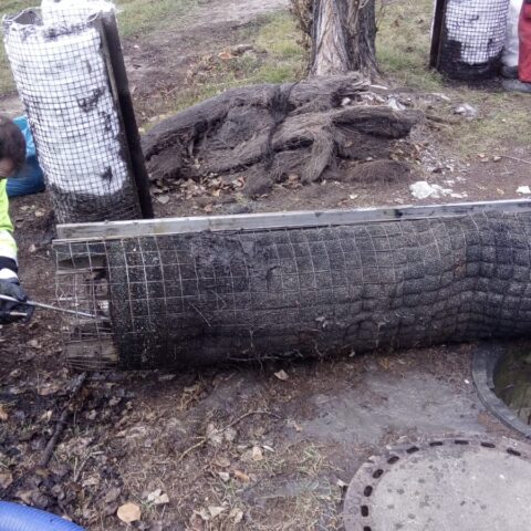 IMG-20210130-WA0054
