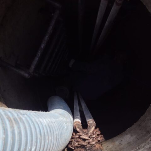 IMG-20210130-WA0062